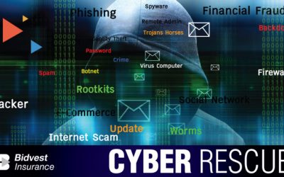 Bidvest Insurance to the Rescue on Cyber Crime